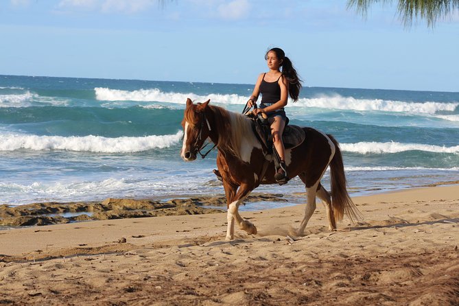 Horseback Riding Through Secluded Beaches and Tropical Forests - Secluded Beaches and Forests