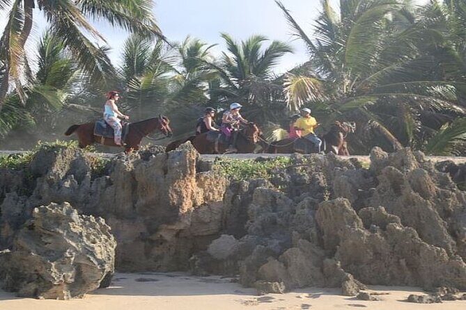 Horseback Riding to Maimon River from Punta Cana - Key Points