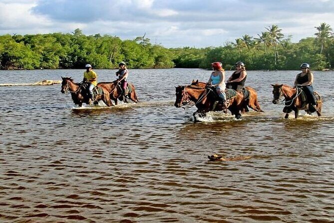 Horseback Riding to Maimon River from Punta Cana - The Value and Considerations