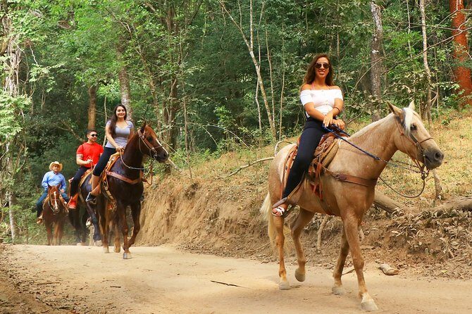 Horseback Riding Tour - An Introduction to the Horseback Riding Tour