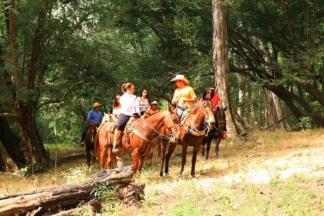 Horseback Riding Tour - Practical Details and What to Expect