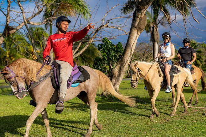 Horseback Riding Tour at Private Ranch - An Authentic Ride on Puerto Rico’s Private Ranch