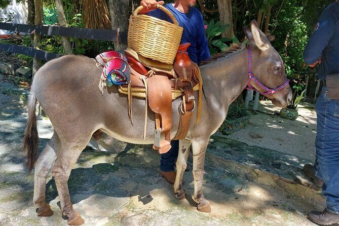 Horseback Riding Tour at Rancho Bonanza and Cenote Swim - How the Tour Fits Into Your Vacation