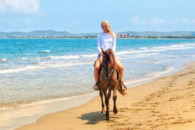 Horseback Riding Tour in Beach of Cartagena - Customer Experiences