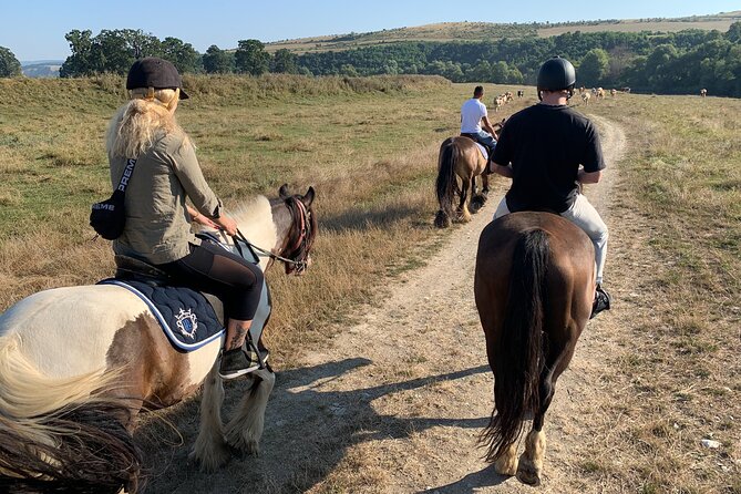 Horseback Riding Tour In Brasov - Ride Through Fields, Forests & Hills - Reviews and Ratings