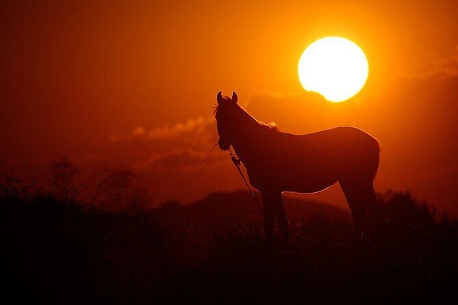 Horseback Riding Tour in Cappadocia ( Include Transfer ) - FAQ