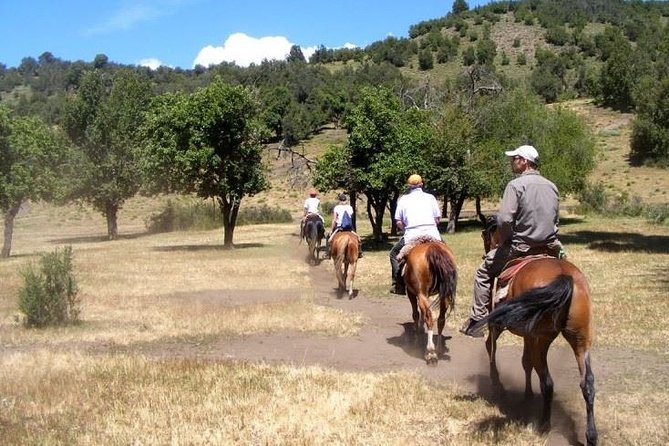 Horseback Riding Tour: Lanin National Park and Mapuche Culture - Gear and Attire for the Experience