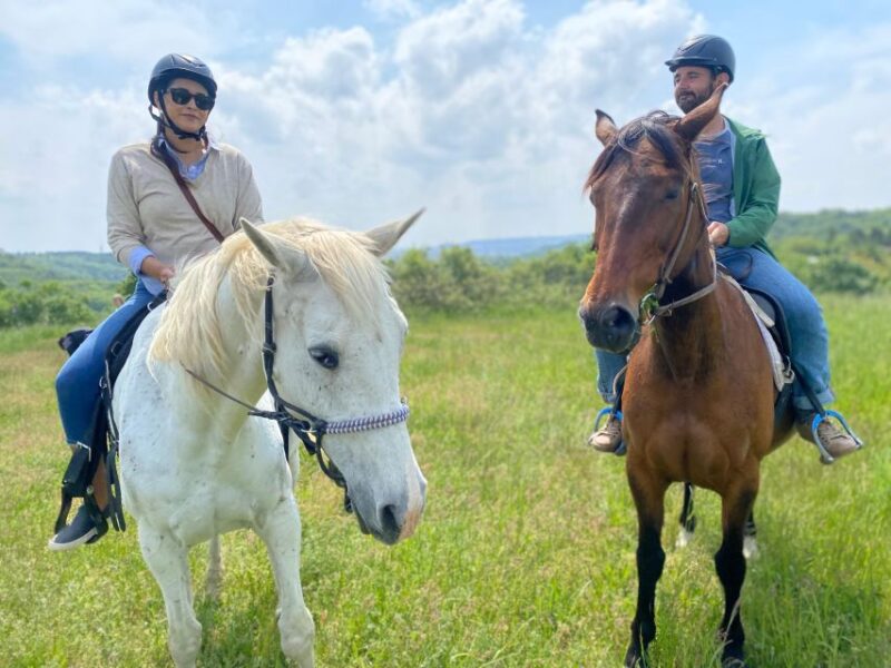 Horseback Riding Tour Near Prague - Gear and Equipment