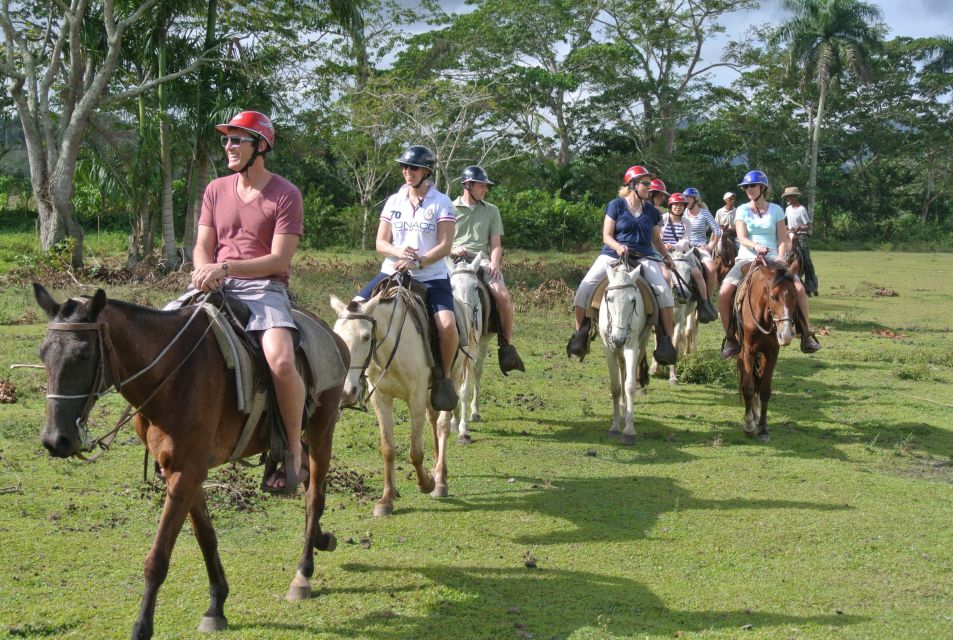 Horseback Riding Tour of Punta Cana - Key Points