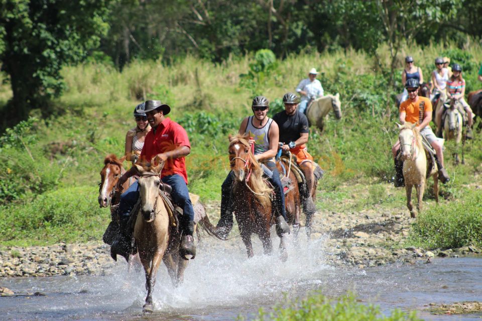 Horseback Riding Tour of Punta Cana - Logistics