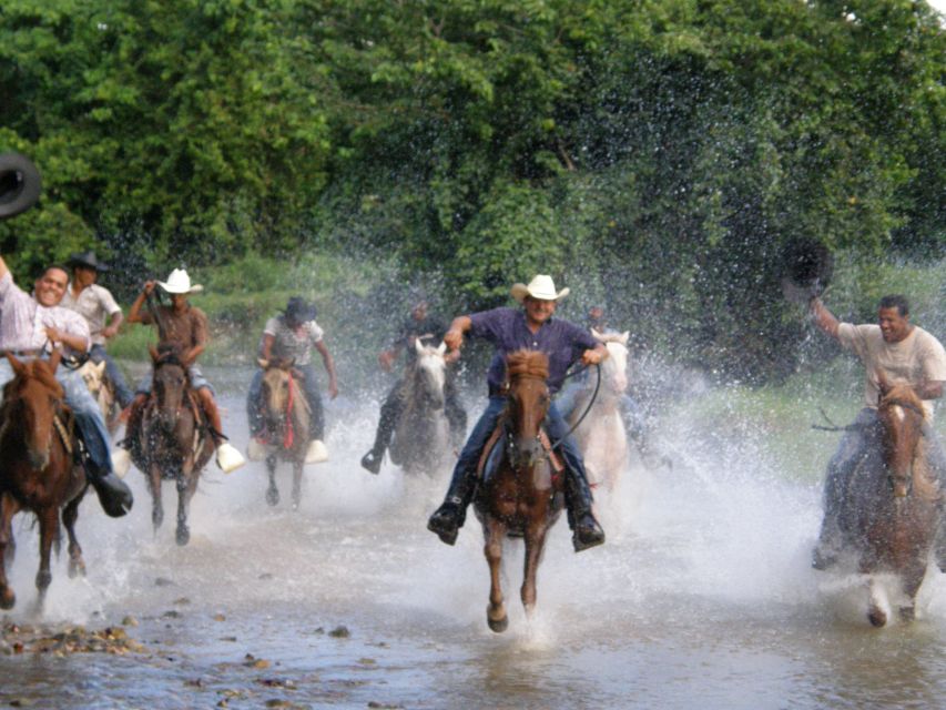 Horseback Riding Tour of Punta Cana - Itinerary