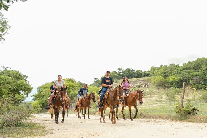 Horseback Riding Tour on the Beach in Puerto Escondido - Authentic Experiences and Real Traveler Insights
