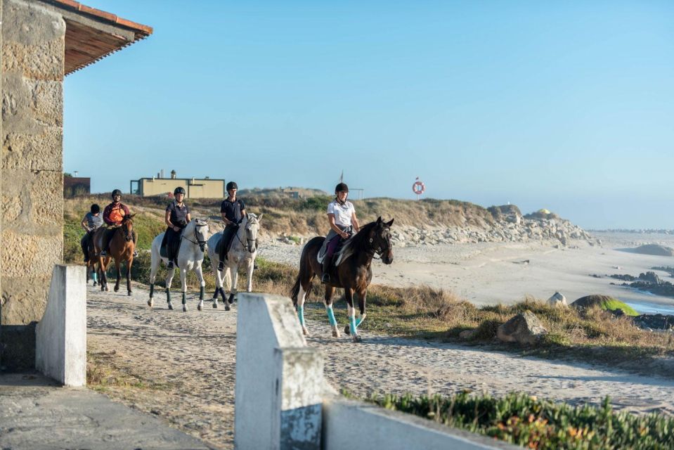 Horseback Riding Tour - Scenic Highlights