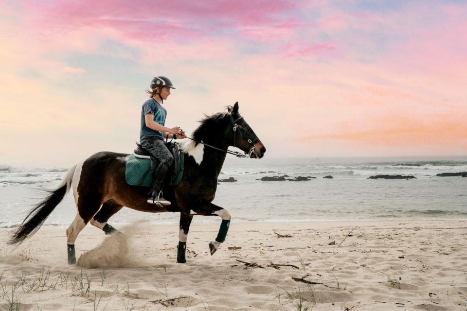 Horseback Riding Tour - Supervised by Instructors