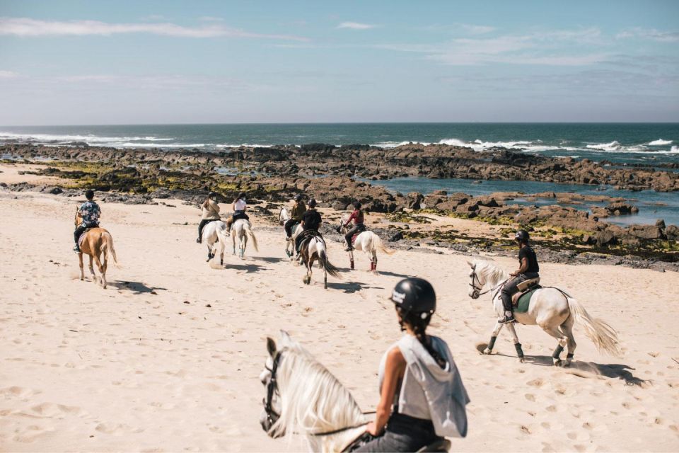Horseback Riding Tour - Participant Restrictions