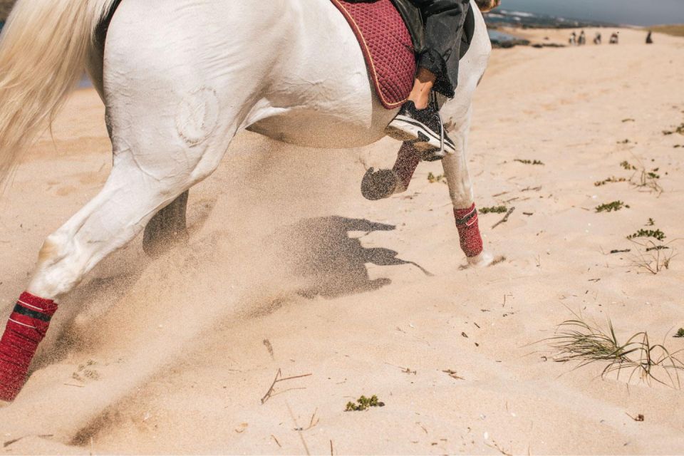 Horseback Riding Tour - Dress Code Requirements