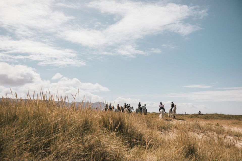 Horseback Riding Tour - Frequently Asked Questions