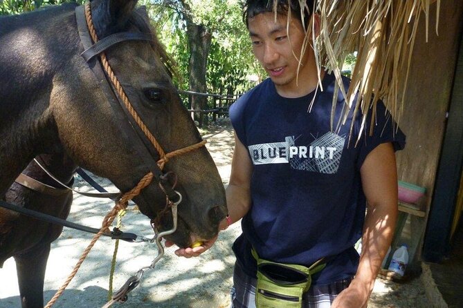 Horseback Riding Tours by the Beach - Preparing for Your Beach Ride