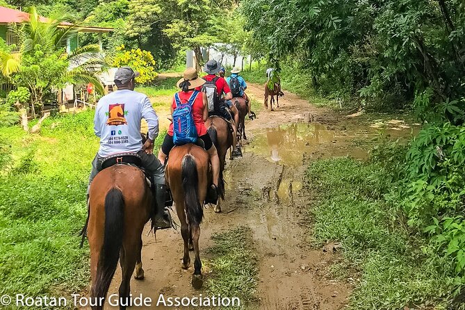 Horseback Riding Trail Tour, Roatan Letters and Ocean in Flowers Bay - Diverse Landscapes Explored