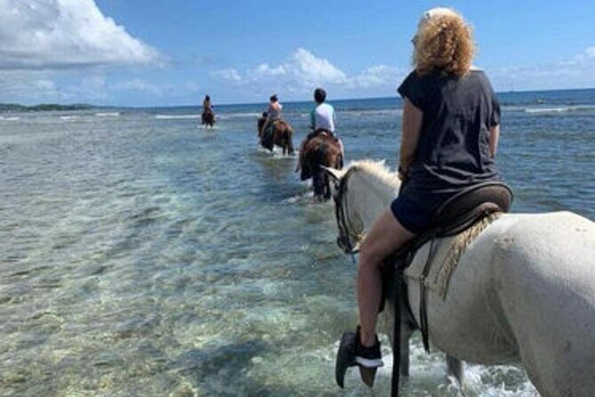 Horseback Riding trough The Countryside & Beach at Puerto Plata - Who Should Consider This Tour?