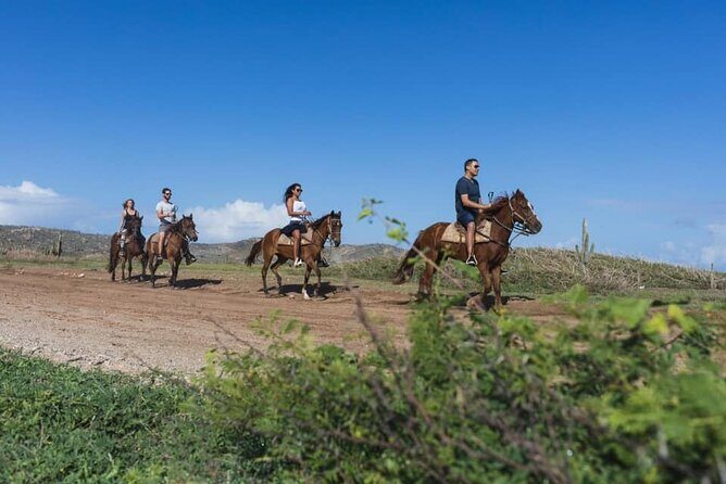 Horseback Riding Wariruri Beach Tour in Aruba - Authentic Reviews Give the Inside Scoop