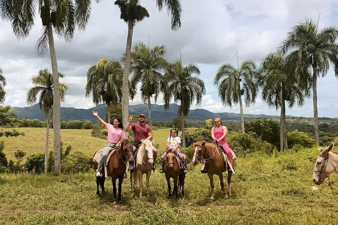 Horseback Riding With Pickup From Punta Cana - Participation Guidelines