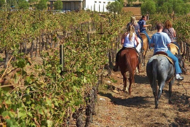 Horseback Ridings and Wine Tastings in a Winery of San Gimignano - Who Will Love This Tour?