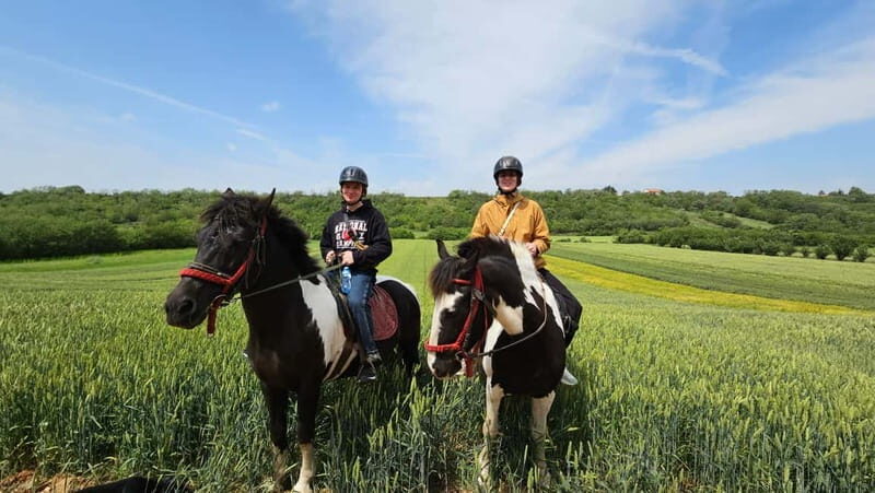 Horseback Trail Riding and Hiking - Day Trip from Belgrade - Exploring Vrdnik Tower: A Touch of Ancient History