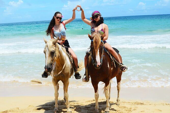 Horses, Buggy, and plantation in Chocaci Ranch - A Step-by-Step Look at the Itinerary