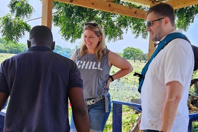 Horses, Buggy, and plantation in Chocaci Ranch - The Experience Through the Lens of Reviews