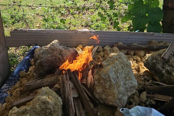 Horses, Buggy, and plantation in Chocaci Ranch - Transportation, Duration, and Group Size