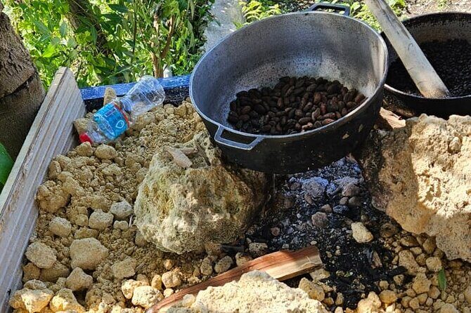 Horses, Buggy, and plantation in Chocaci Ranch - FAQs