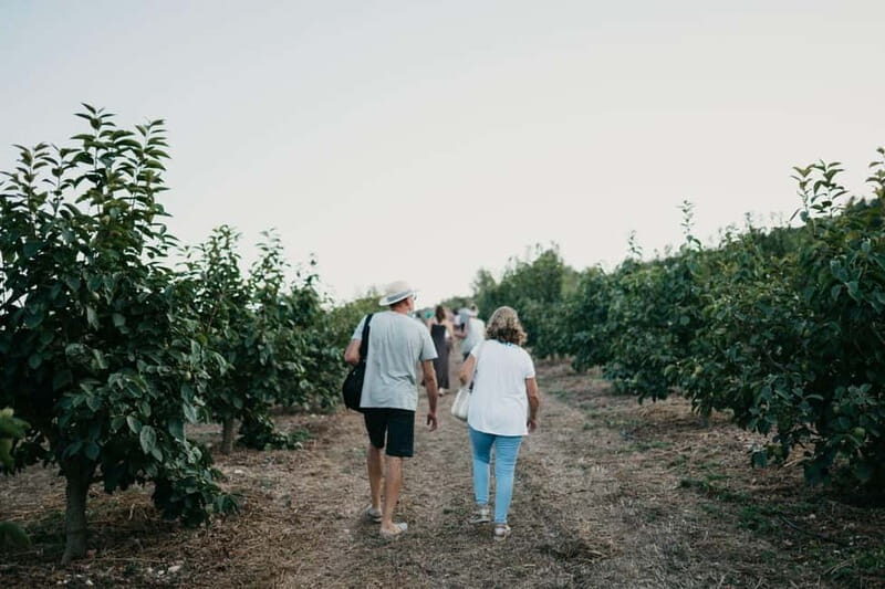 Hort de Sa Vall: Guided tour of the crops and outdoor dinner - Practical Details and Considerations