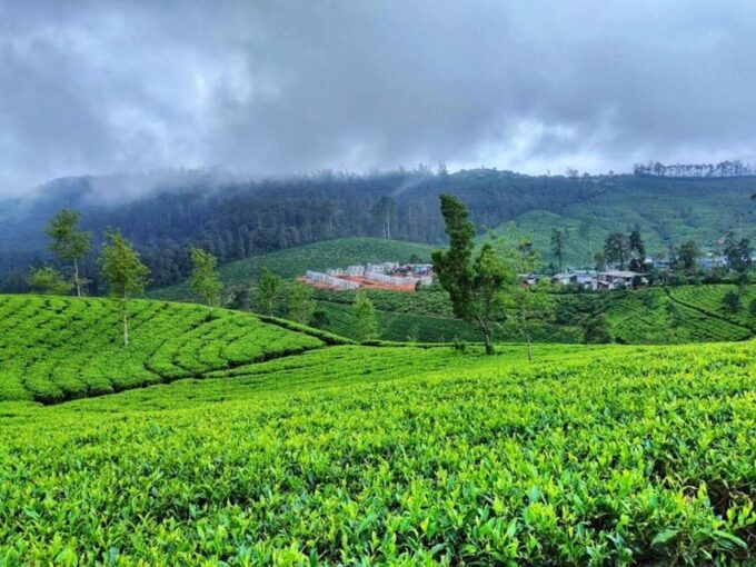 Horton Plains: Discover Real Essence of Central Highland - Tea Plantation and Waterfall Exploration