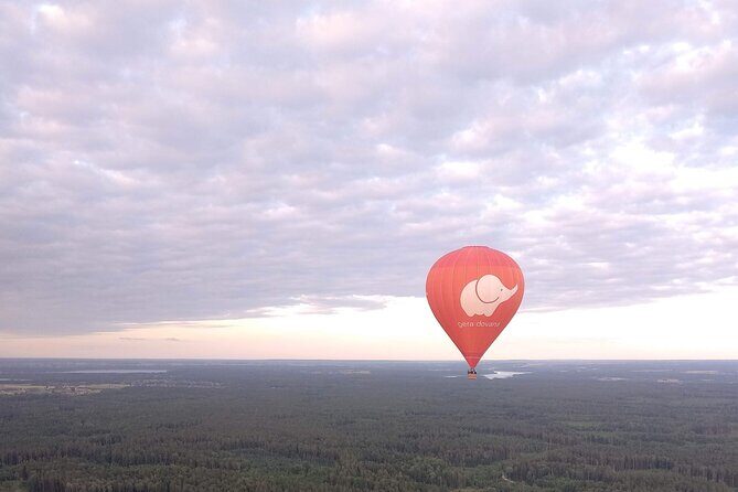 Hot Air Balloon Ride in Nemencine - Final Thoughts: Who Is This Tour Best For?