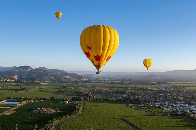 Hot Air Balloon Rides in Napa Valley - Practical Details: What to Expect and How to Prepare