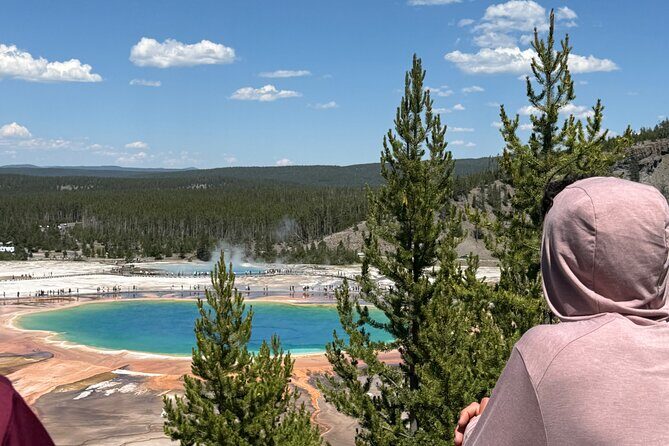 Hot Springs and Geysers Private Tour - Who Should Consider This Tour?
