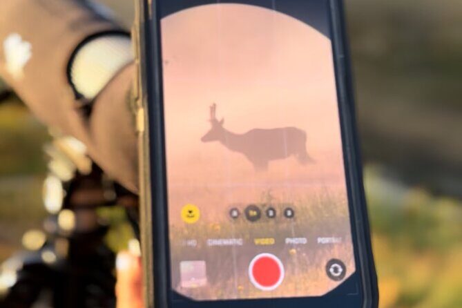 Hot Springs and Geysers Private Tour - The Sum Up