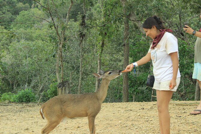 Hot Springs and Villages in the Sierra Madre for 4 hours - A Deep Dive into the Experience