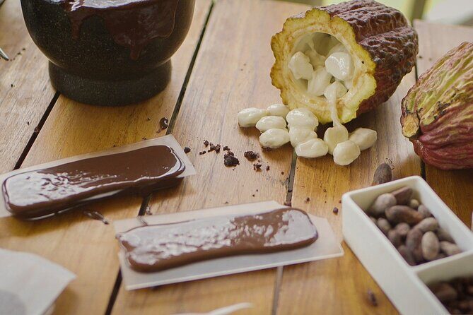 Hotel Chocolat Bean to Bar Experience in St. Lucia - What to Expect: A Deep Dive into the Chocolate Journey