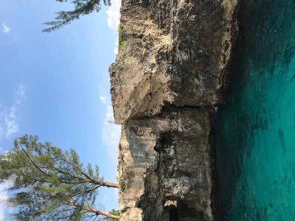 Hotel transfer from negril to Montego Bay - The Experience of the Journey