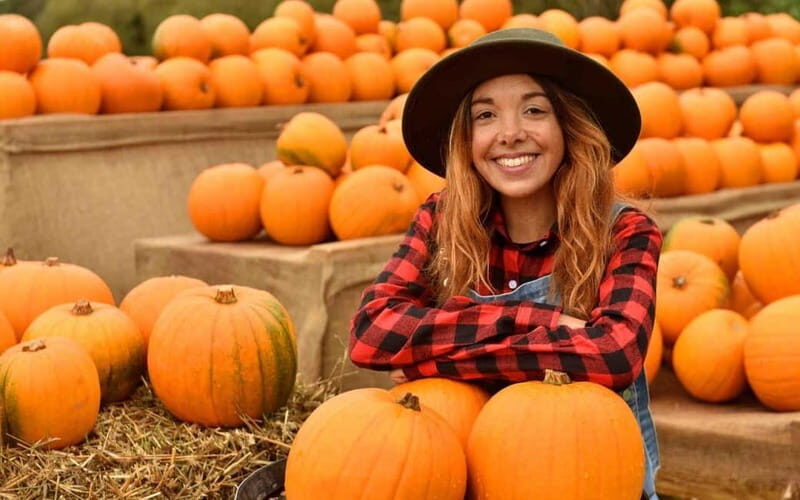 Hounslow: Pumpkin Patch Plus Entry to Hobbledown Heath - An Authentic Family-Friendly Day Out