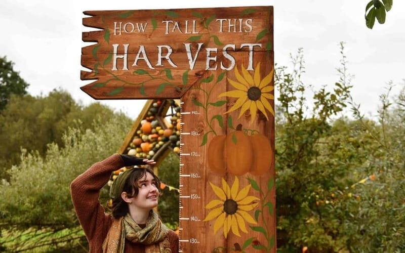 Hounslow: Pumpkin Patch Plus Entry to Hobbledown Heath - FAQs