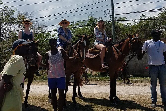 Hour Horseback Riding Guided Tour from Runaway Bay - The Value of the Experience