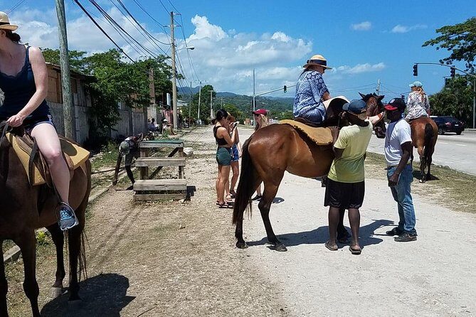 Hour Horseback Riding Guided Tour from Runaway Bay - Practical Tips for Travelers