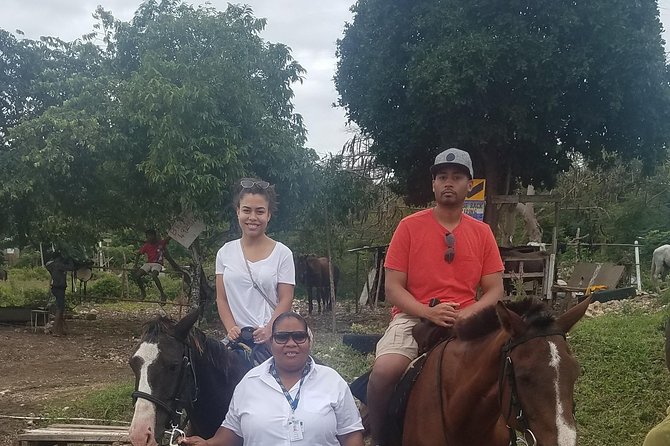 Hour Horseback Riding Guided Tour From Runaway Bay - Customer Reviews and Testimonials