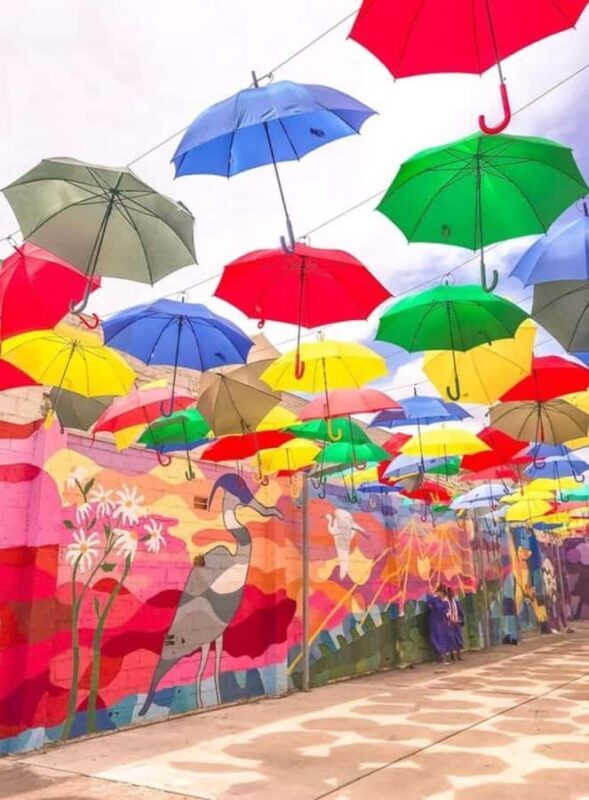 Houston : Best Street Food Tour With A Local Guide - Final Thoughts