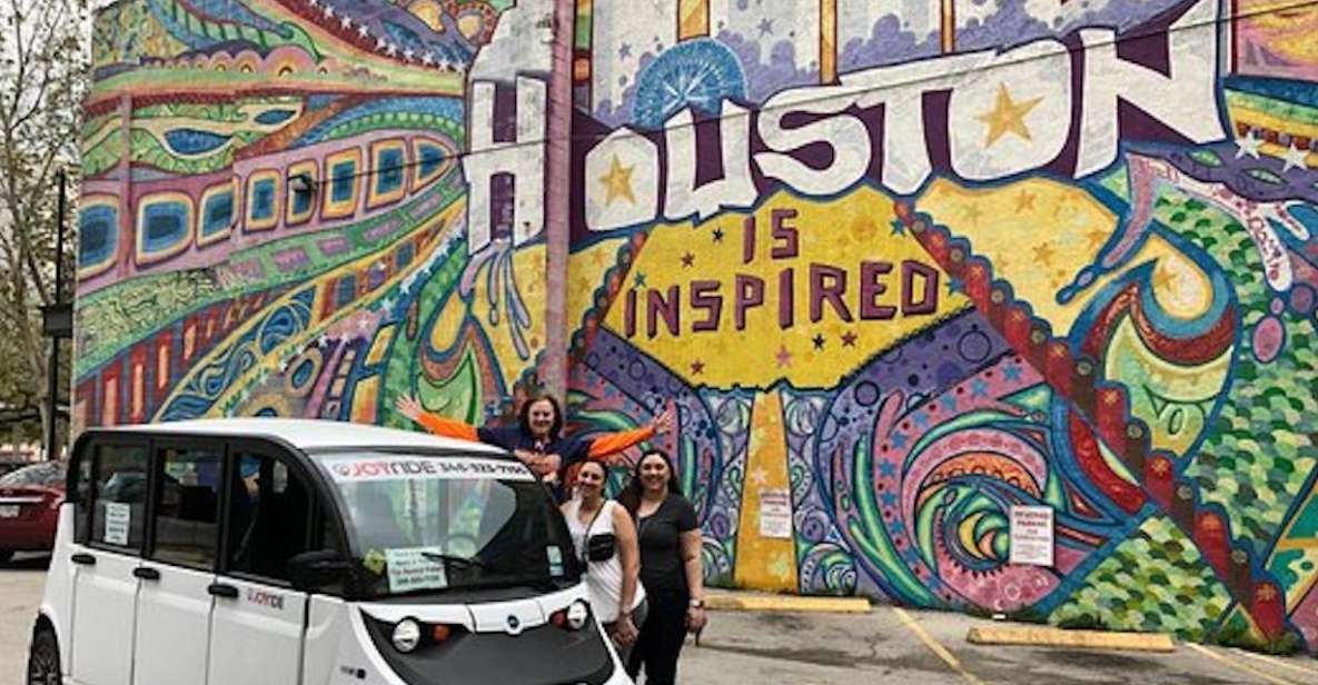 Houston: City Sightseeing Tour by Electric Cart - Exploration of Arts District