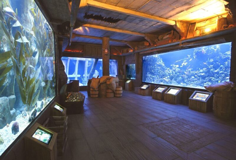 Houston CityPASS®: Save up to 51% at 5 Top Attractions - Who Will Love This Tour?