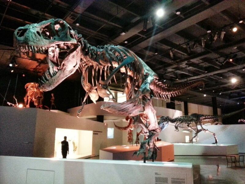 Houston CityPASS®: Save up to 51% at 5 Top Attractions - Final Thoughts: Is the Houston CityPASS® Worth It?